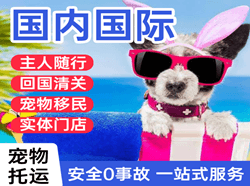 昭苏天马机场货运国际宠物托运 【国